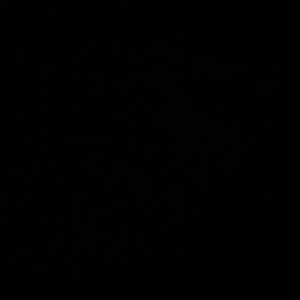 Meet your Posher, Cortney